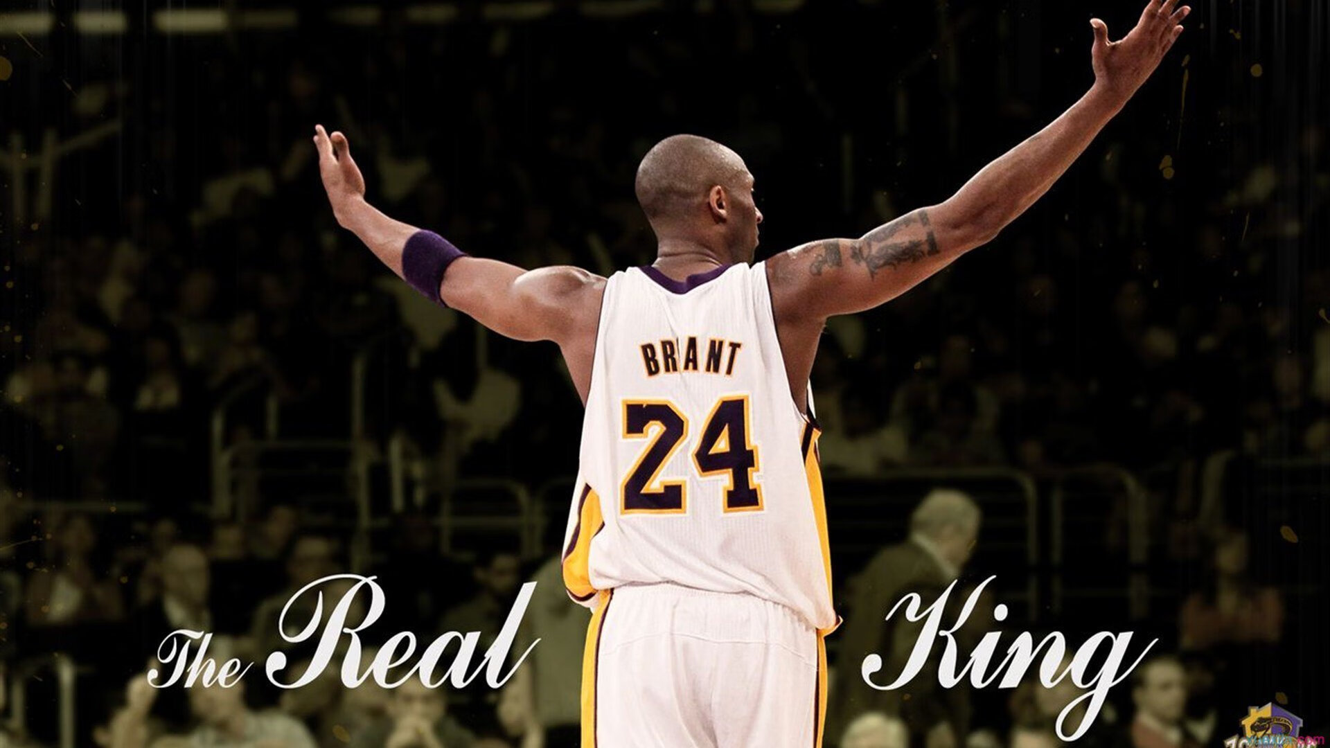 球队发布官方海报传递备战信号激发球迷期待情绪，球队宣传文案